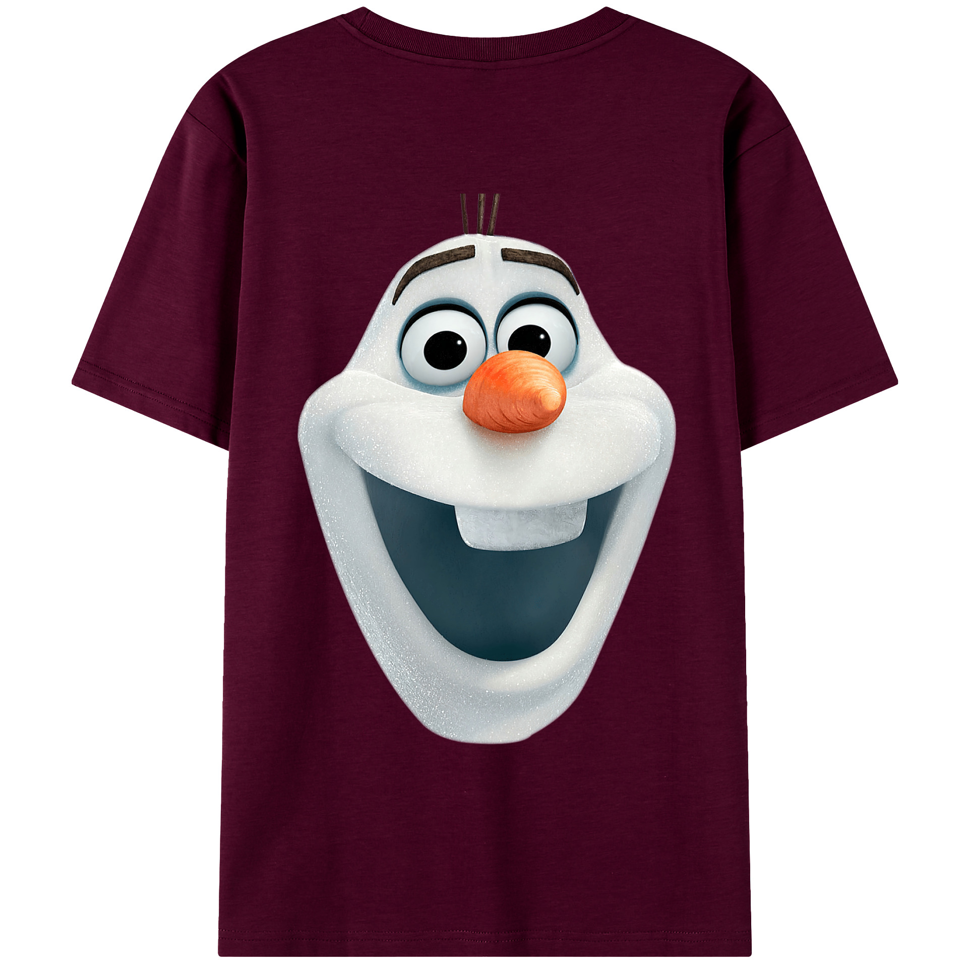 （画像用） アナと雪の女王 アンナ エルサ Frozen Anna Elsa レディース半袖Tシャツ(バックプリント)